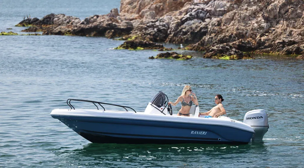 Shark19